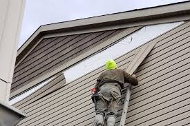 Best Custom Siding Design  in Chicago Heights, IL